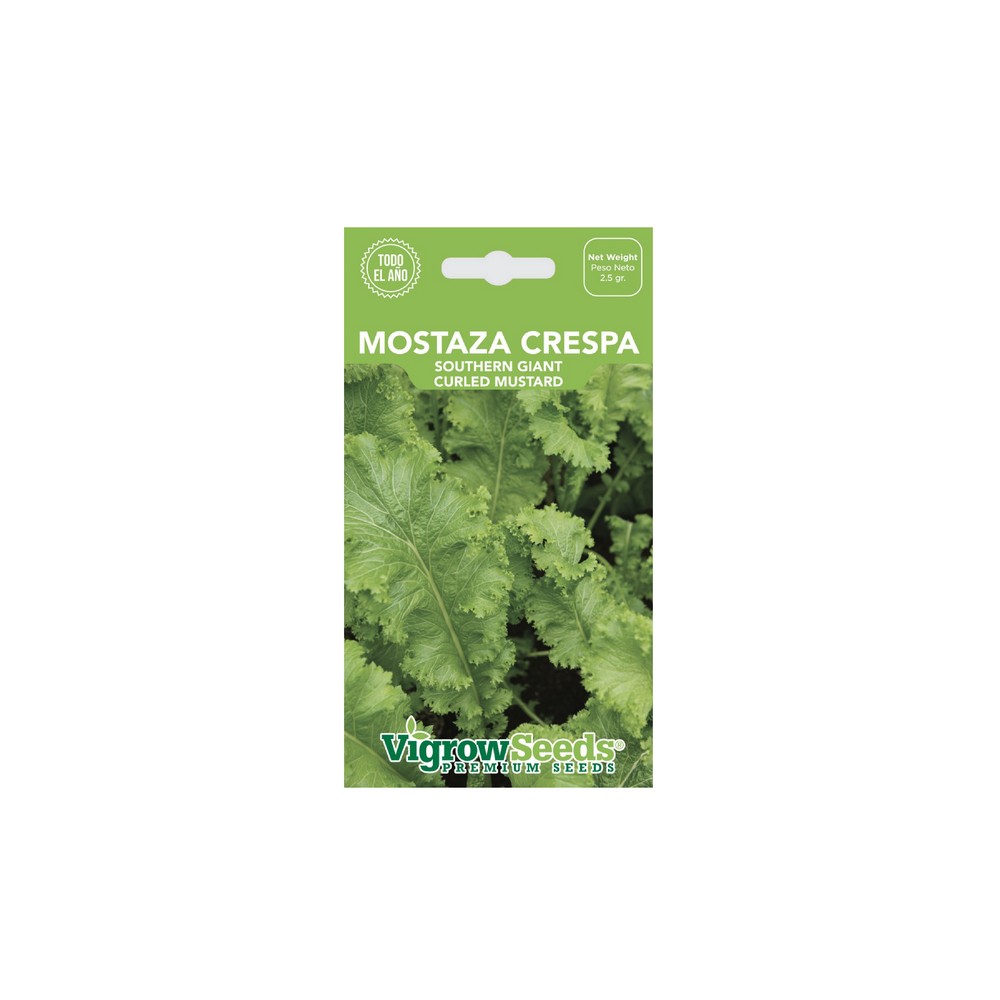 Semilla de mostaza crespa 2 g