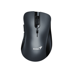 MOUSE GENIUS RS2 ERGO 8100S INALÁMBRICO CON RECEPTOR 1200 DPI 31030040404 GRIS