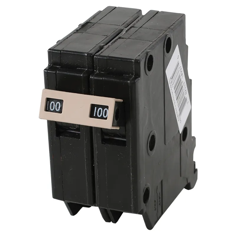 Breaker de enchufar 2 x 100 Cutler-Hammer
