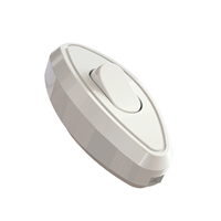 Apagador Paso 6A 110 V Eagle