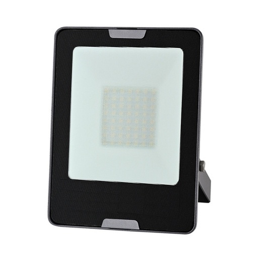 EXT REFLECTOR LED50W100-277V6500K4500LM