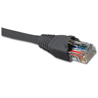 CABLE DE RED NEXXT CAT6 3M / 10FT GRIS