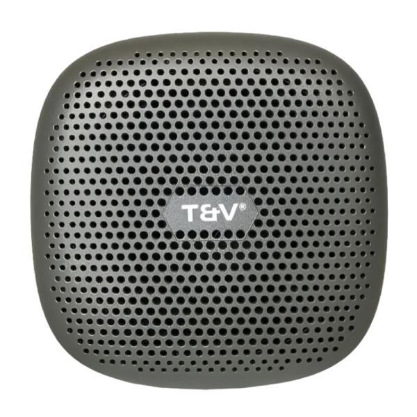 Parlante Thonet & Vander TWS Duett / 3.5MM Bluetooth – Gris