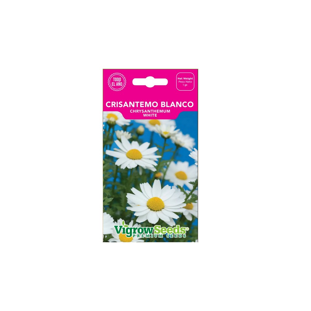 Semilla de crisantemo blanco 1 gramo
