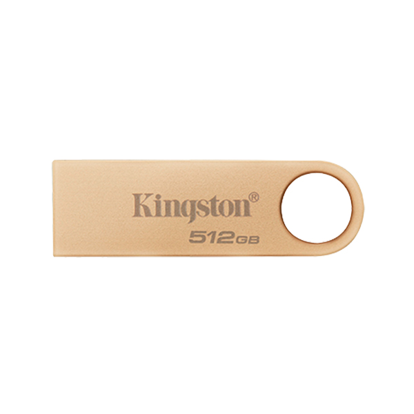 Kingston Memoria USB 512GB