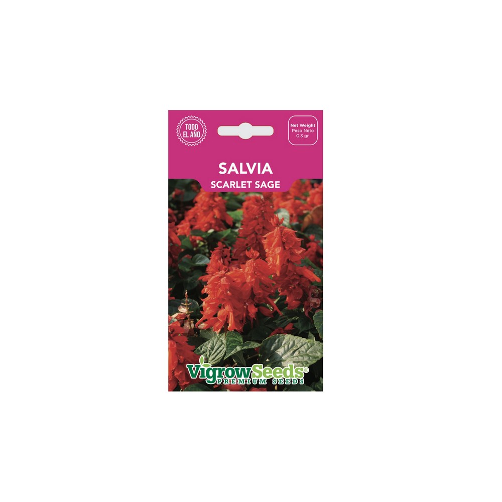 Semilla de salvia 0.3 g