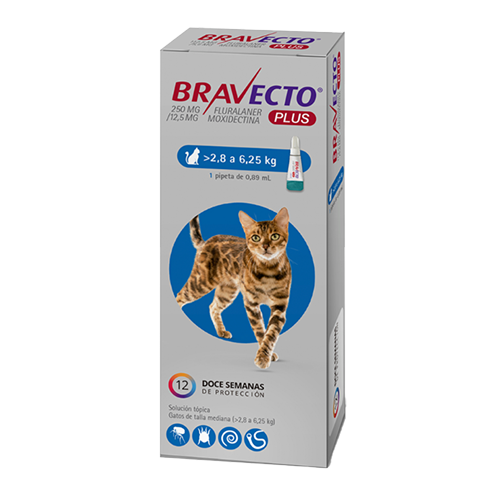 BRAVECTO GATO PLUS 2,8-6,25 KG