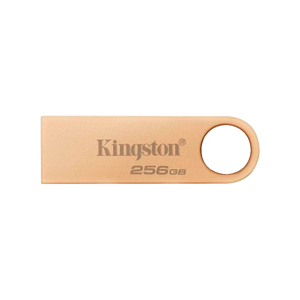 Kingston Memoria USB 256GB