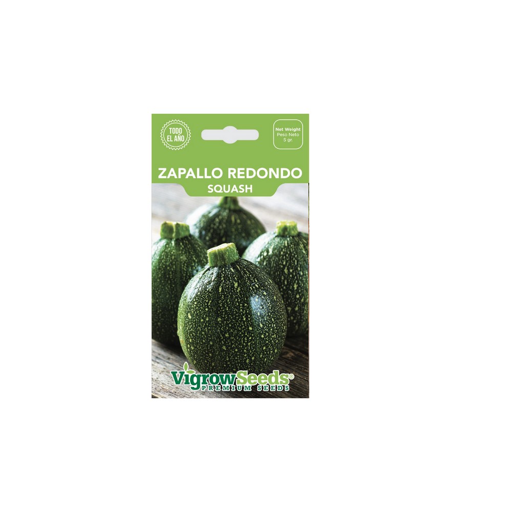 Semilla de zapallo redondo 5 g
