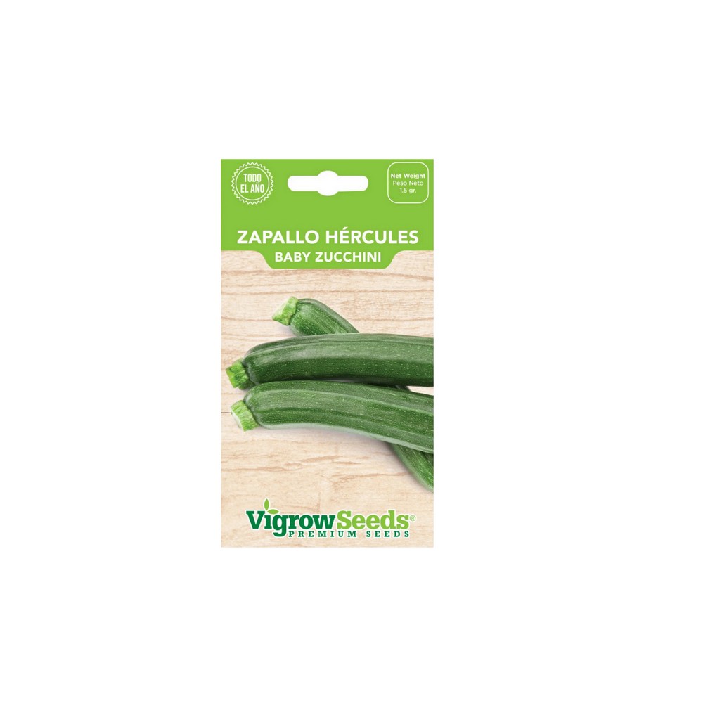 Semilla zapallo hercules