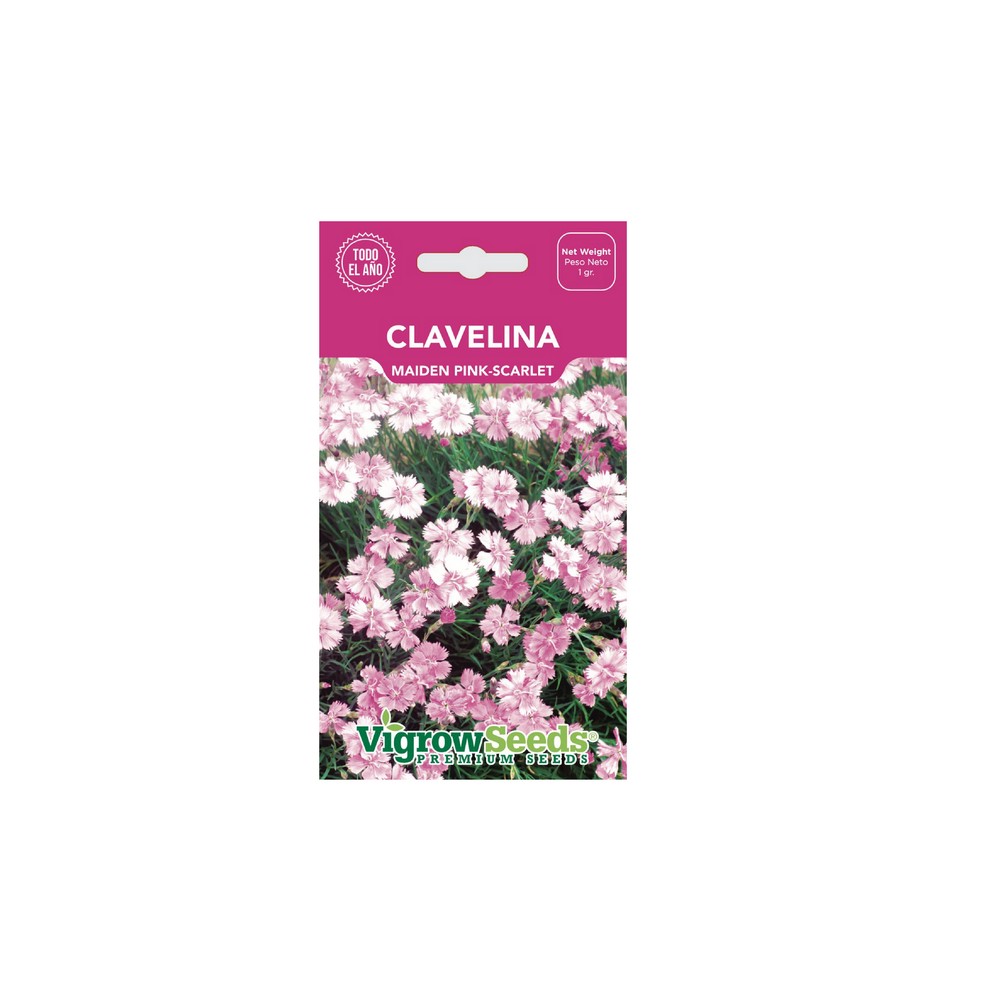 Semilla de clavelina 0.75 gramos