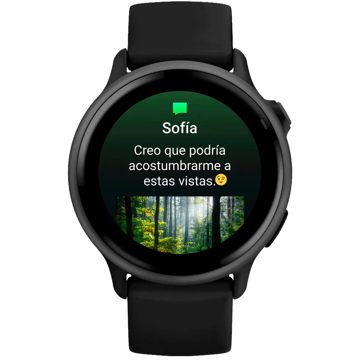 Reloj Inteligente Garmin Negro (30.4mm) Vivo Active 6