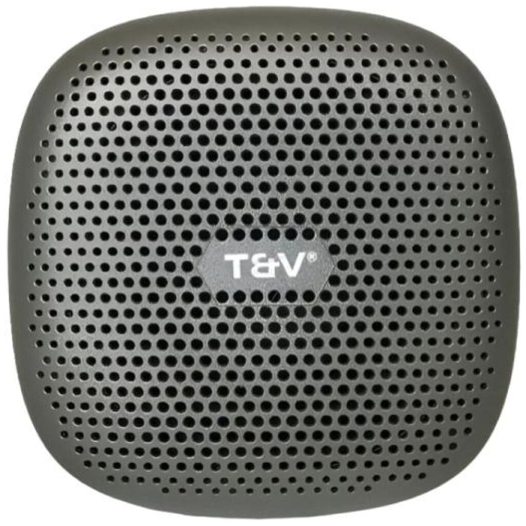 PARLANTE THONET & VANDER DUETT TWS 10W RMS – RADIO FM – GRIS