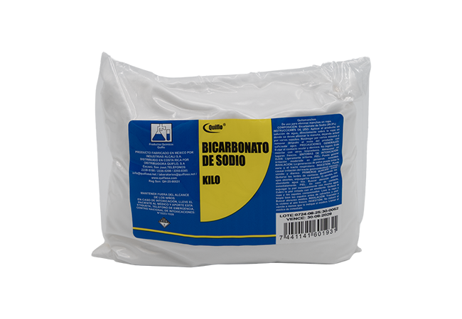 BICARBONATO DE SODIO 1000 GR