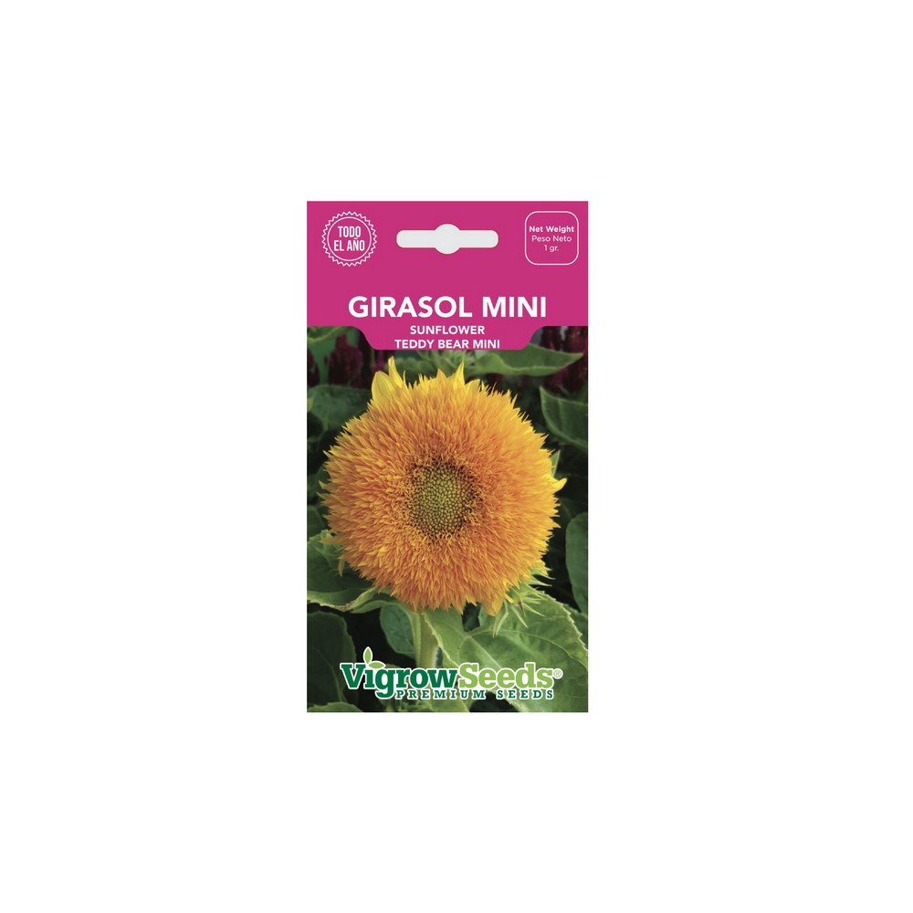 Semilla de girasol mini 1 g