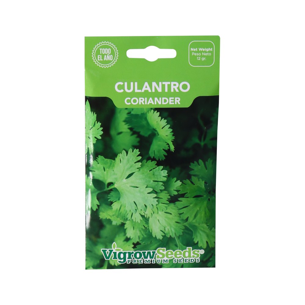 Semilla de culantro 12 g