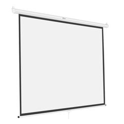 Pantalla Para Proyector De 100
