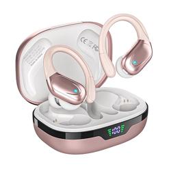 Wireless Earbuds Bluetooth Headphones 80hrs Playback Ear Buds P